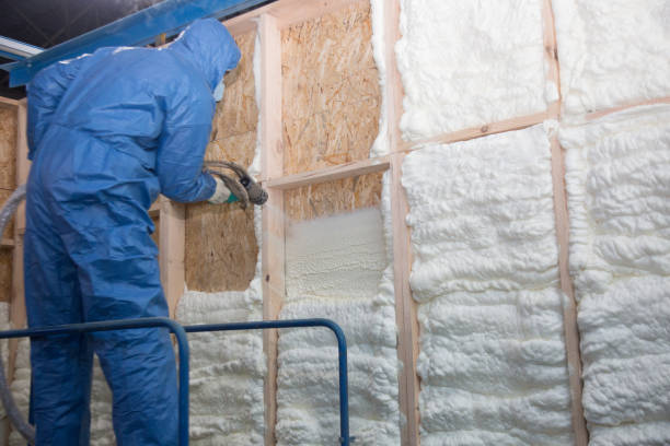 Best Attic Insulation Installation in Chillicothe, MO